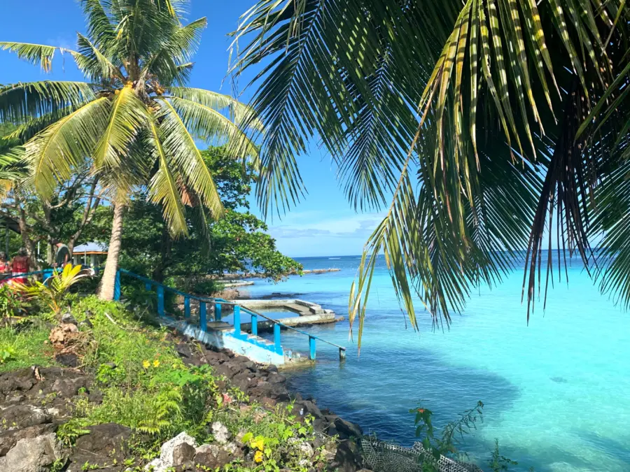 Palm-fringed tropical shoreline with clear turquoise water