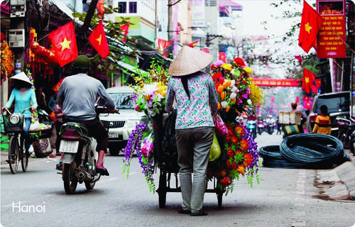 Flower vendor pushing cart along Hanoi street