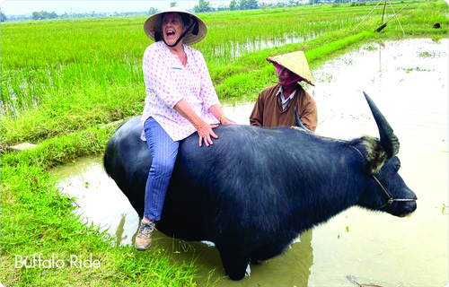 Woman riding water buffalo in rice paddy