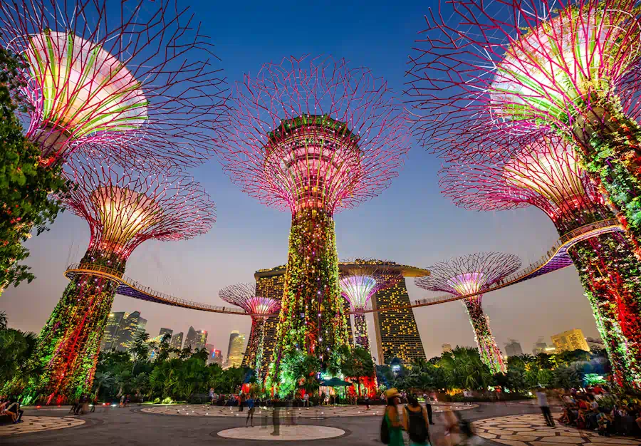 Gardens by the Bay illuminated supertrees
