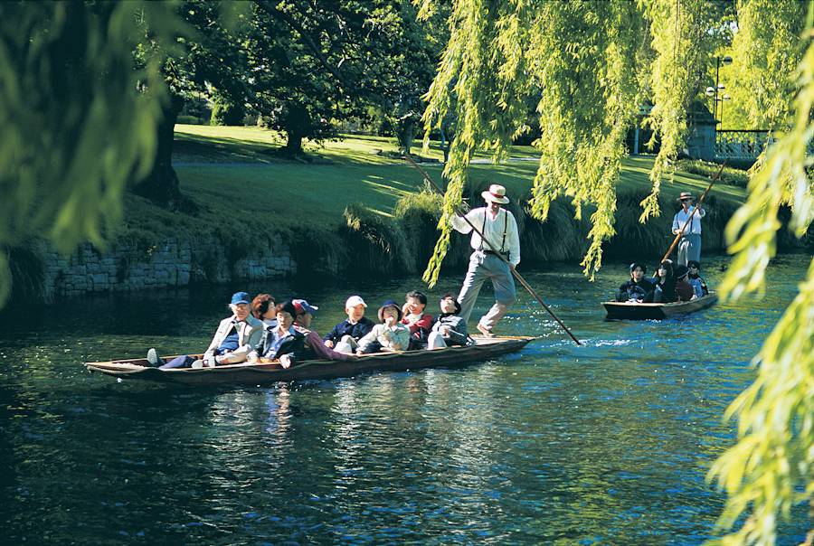 People punting on river under willow trees