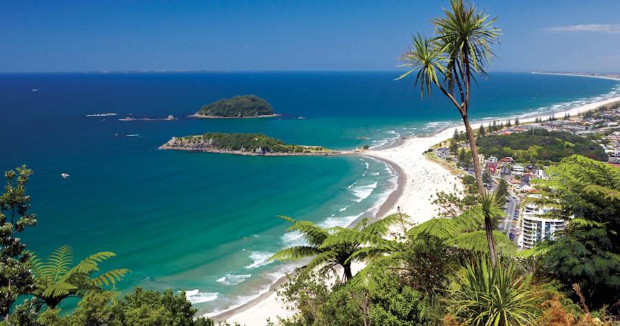 Coastal beach with island and turquoise ocean
