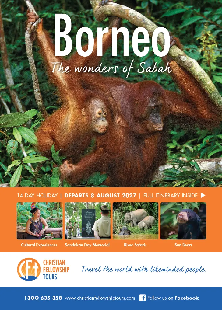 Orangutans in Borneo rainforest travel poster