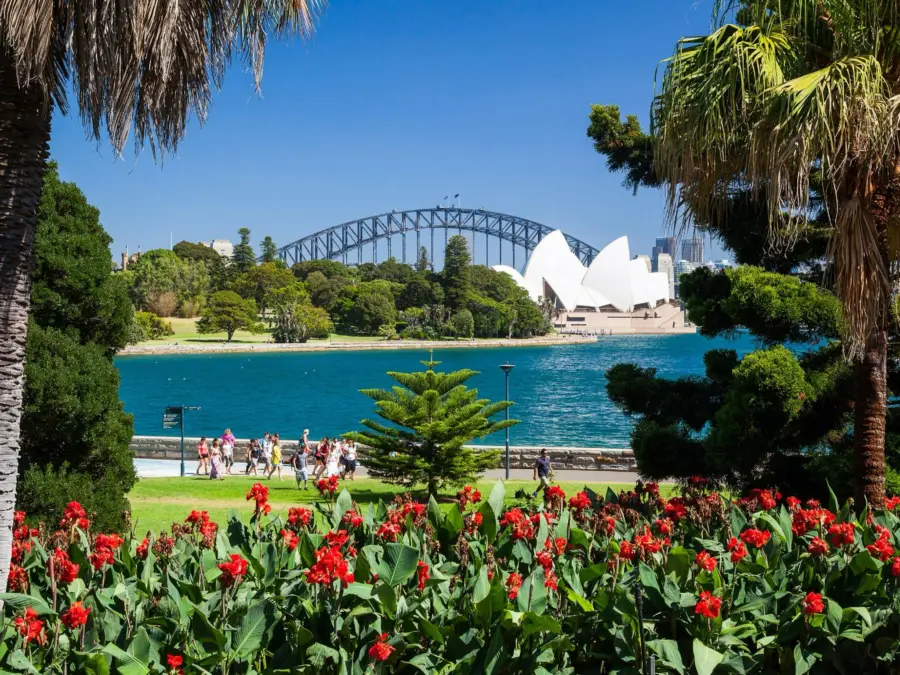 Sydney Opera House and Harbour Bridge framed by garden flowers