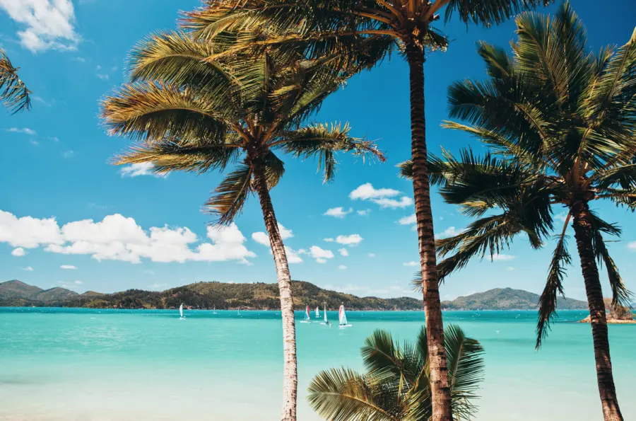Palm trees framing turquoise tropical bay with sailing boats