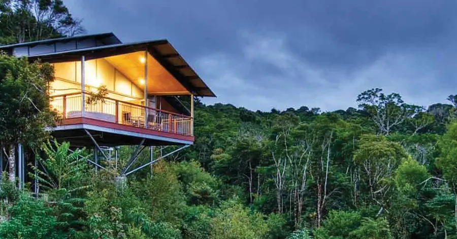 Illuminated elevated cabin overlooking lush rainforest at dusk